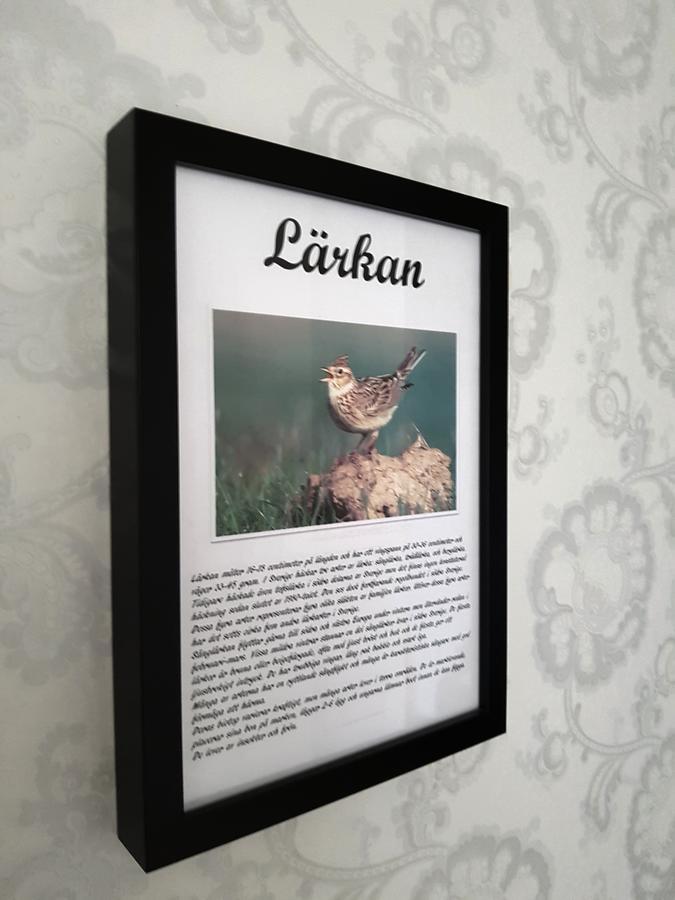 Takern Vandrarhem Svanshals 外观 照片